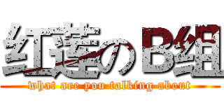 红莲のＢ组 (what are you talking about)