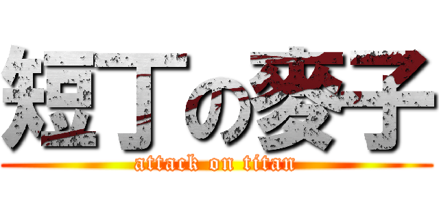 短丁の麥子 (attack on titan)