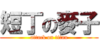 短丁の麥子 (attack on titan)