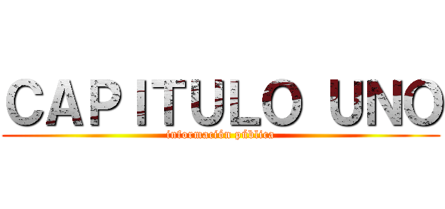 ＣＡＰＩＴＵＬＯ ＵＮＯ (información pública)