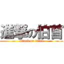 進撃の伯首 (attack on titan)