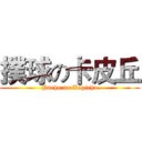 撲球の卡皮丘 (Pucho no Kapichu)