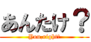 あんたけ？ (You,right?)