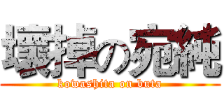 壞掉の宛純 (kowashita on buta)