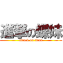 進撃の蝶妹 (attack on titan)