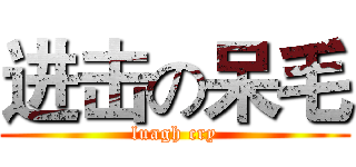 进击の呆毛 (luagh cry)