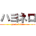 ハヨネロ (go to bed!!)