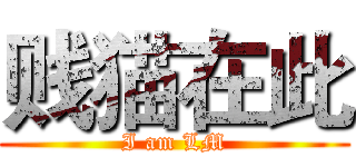 贱猫在此 (I am LM)