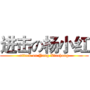 进击の杨小红 (attack on Yang Xiaohong)