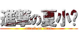 進撃の夏小柒 (attack on titan)