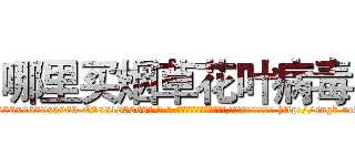 哪里买烟草花叶病毒 (哪里买烟草花叶病毒【电-186x2687x6963-Q278180069元-吉-药-业】我们做的是长期生意,靠的是老客户长期支持 http://sngk.net/YfeLMg
)