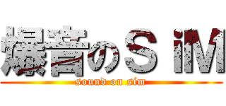 爆音のＳｉＭ (sound on sim)