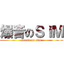 爆音のＳｉＭ (sound on sim)