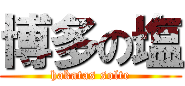 博多の塩 (hakatas solte)