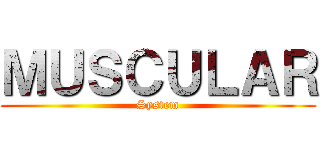 ＭＵＳＣＵＬＡＲ (System)