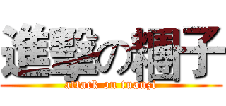 進擊の糰子 (attack on tuanzi)