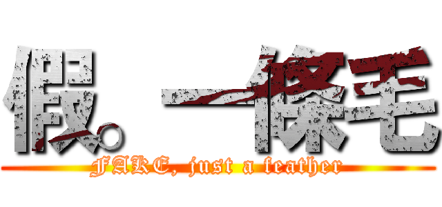 假。一條毛 (FAKE, just a feather)