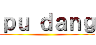 ｐｕ ｄａｎｇ ()