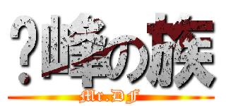 巅峰の族 (Mr.DF)