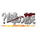 巅峰の族 (Mr.DF)