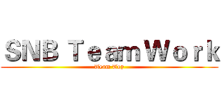 ＳＮＢ Ｔｅａｍ Ｗｏｒｋ (Team Toy)