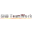 ＳＮＢ Ｔｅａｍ Ｗｏｒｋ (Team Toy)