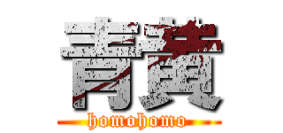 青黄 (homohomo)
