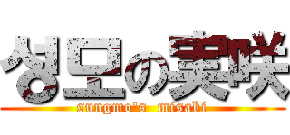 성모の実咲 (sungmo's  misaki)