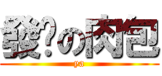 發霉の肉包 (ya)