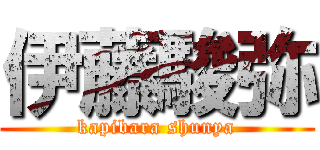 伊藤駿弥 (kapibara shunya)