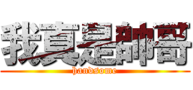 我真是帥哥 (handsome)