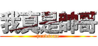 我真是帥哥 (handsome)