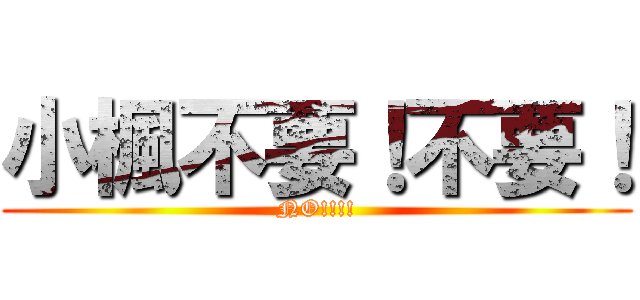 小楓不要！不要！ (NO!!!!)