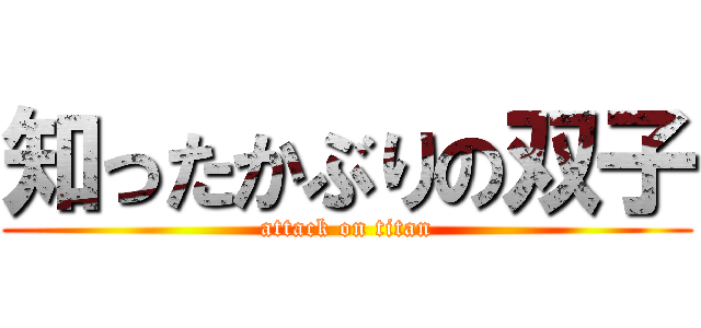 知ったかぶりの双子 (attack on titan)