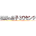松野の息子３０センチ (attack on titan)