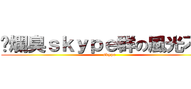 霉爛臭ｓｋｙｐｅ群の風光不再 (skype)