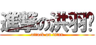 進撃の洪羽姍 (attack on titan)