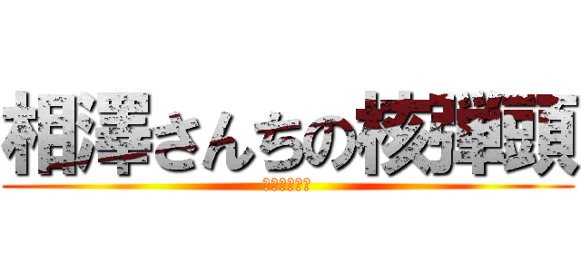 相澤さんちの核弾頭 (ダークソウル)