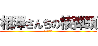 相澤さんちの核弾頭 (ダークソウル)