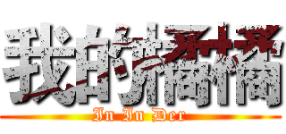 我的橘橘 (In In Der)