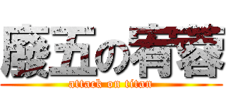 廢五の宥蓉 (attack on titan)