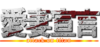 愛妻宣言 (attack on titan)