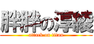 胖胖の淳綾 (attack on titan)