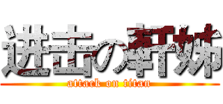 进击の軒姊 (attack on titan)