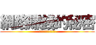 網路賺錢的秘密 (無本萬利網路賺錢致富術)