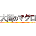 大間のマグロ (oma of tuna)