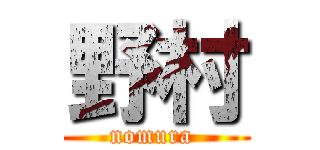 野村 (nomura )