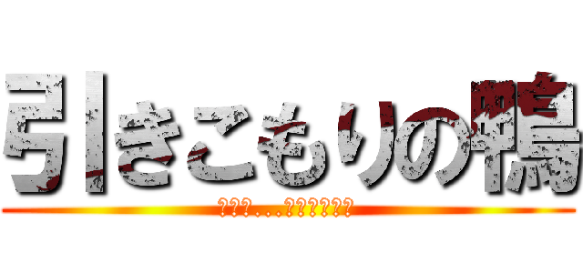 引きこもりの鴨 (家から...出たくない！)