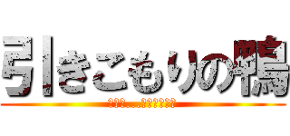 引きこもりの鴨 (家から...出たくない！)