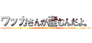 ワッカさんが産むんだよ。 (attack on titan)